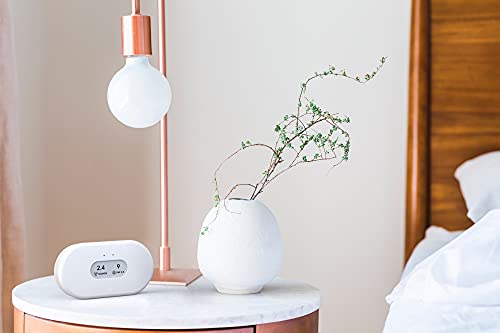 Airthings 2960 View Plus - Radon & Air Quality Monitor
