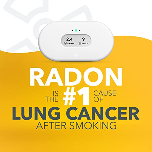 Airthings 2960 View Plus - Radon & Air Quality Monitor