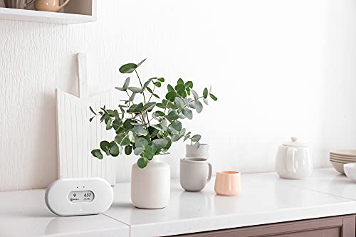 Airthings 2960 View Plus - Radon & Air Quality Monitor