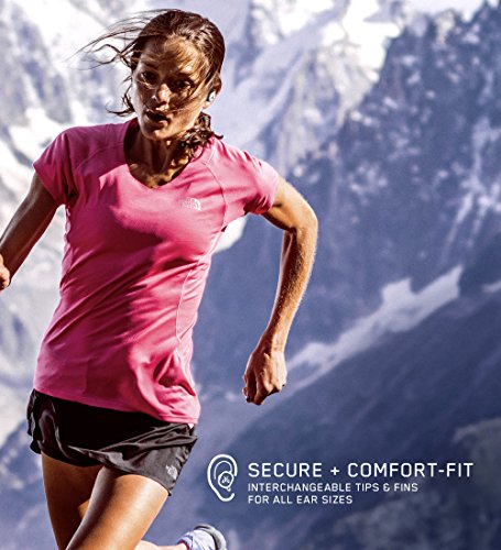 Jaybird RUN True Wireless Headphones for Running, 4+ Hours Play