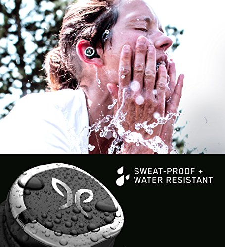 Jaybird RUN True Wireless Headphones for Running, 4+ Hours Play