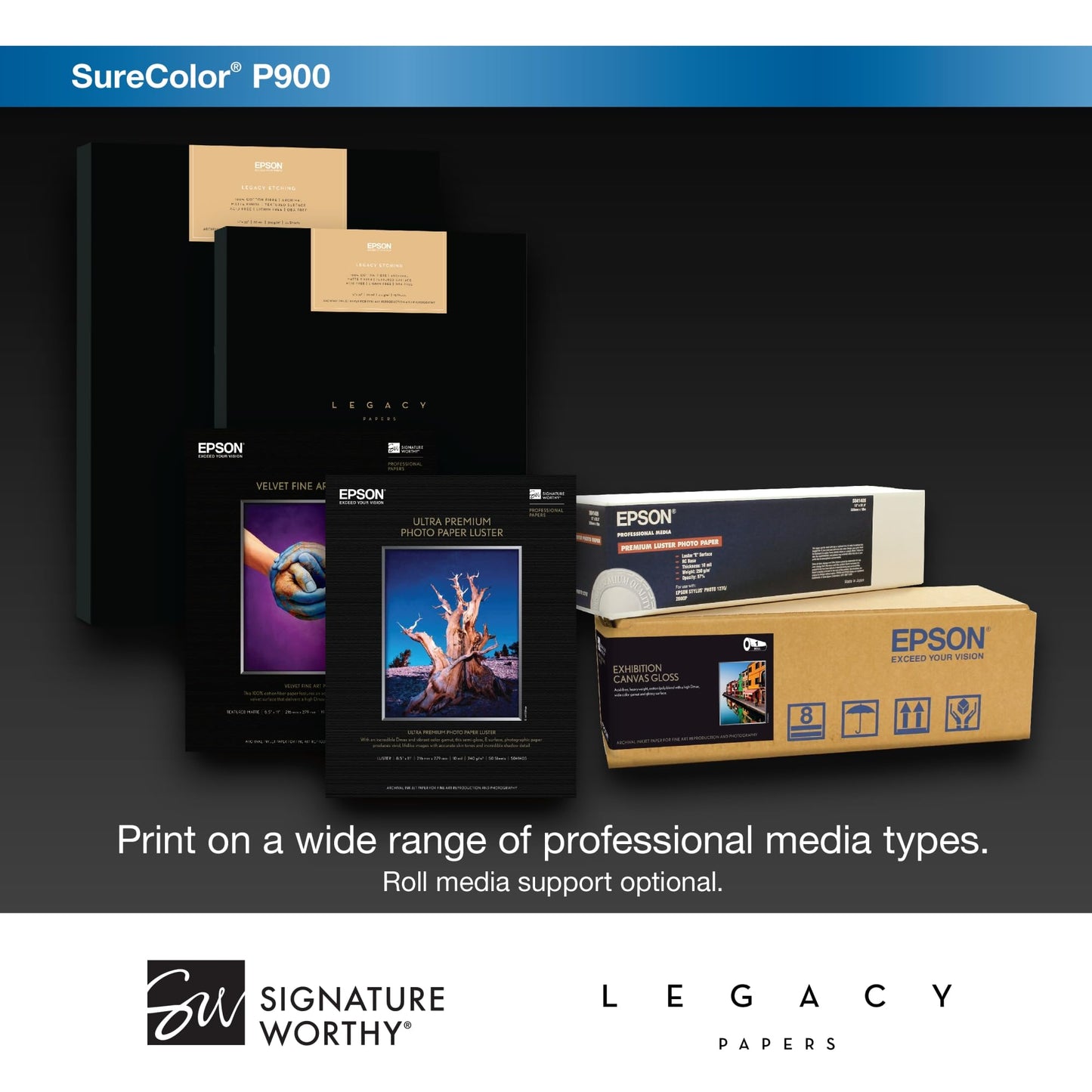 Epson SureColor P900 17-Inch Printer,Black