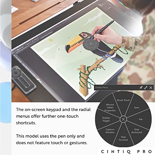 Wacom DTK2420K0 Cintiq Pro 24